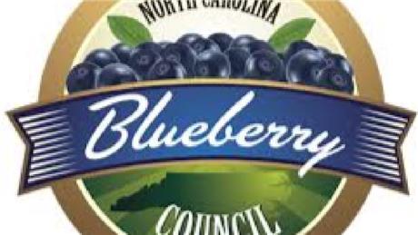 Group Banner Picture